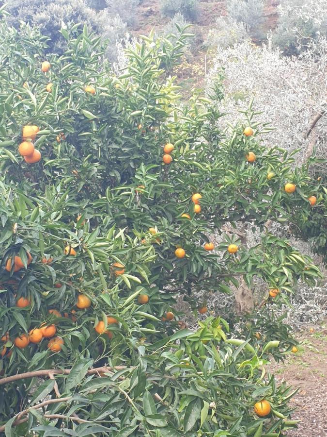 Affittacamere Rosemary House Sarandë Esterno foto